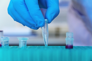 Illustration for article titled Be Sure The Research You Will Have To Have Carried Out Will Be Completed Appropriately